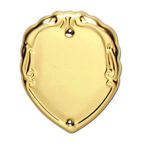 Engraved Gold Shield 45mm
