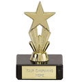 MicroStar3 Gold Trophy