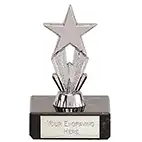 MicroStar Silver Trophy 8cm