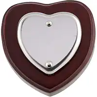 2in Heart Mini Single Shield