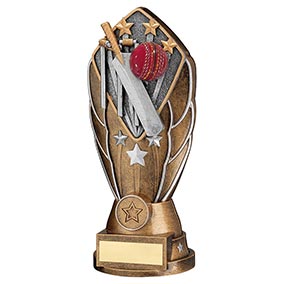 Diamond Cricket Wicket Trophy 241mm