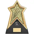 Starforce Gold Darts Award 22cm