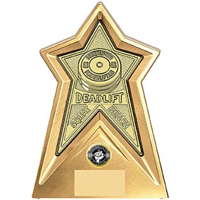 Starforce Gold  Weightlifting Award 20cm