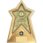 Starforce Gold  Weightlifting Award 20cm
