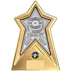 Starforce Silver Weightlifting Award 20cm