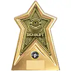 Starforce Antique Gold  Weightlifting Award 20cm