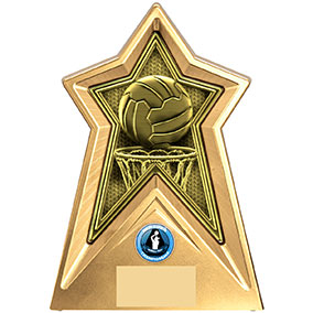Starforce Netball Award 20cm