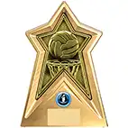 Starforce Netball Award 20cm