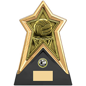 Starforce Netball Award 22cm