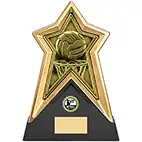Starforce Netball Award 22cm