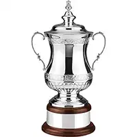 Trophy Cups image