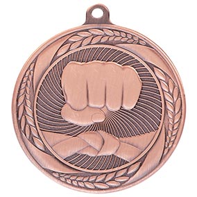 Bronze Typhoon Martial Arts Medal 55mm