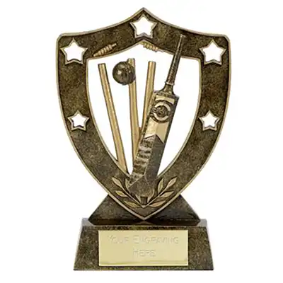 Shield Star Cricket Award 6in