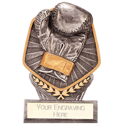 105mm Falcon Boxing Glove Award