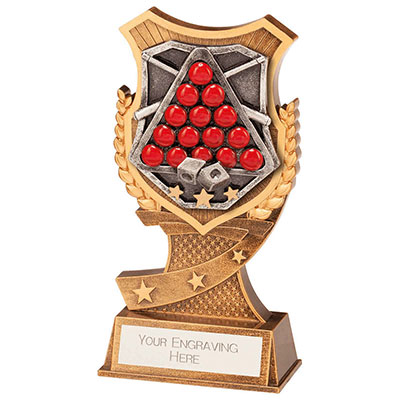175mm Titan Snooker Award