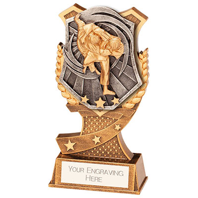 150mm Titan Judo Award