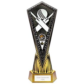 Inferno Cricket Trophy 270mm