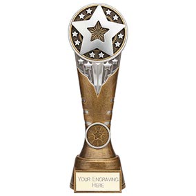 Ikon Tower Star Achievement Award 225mm
