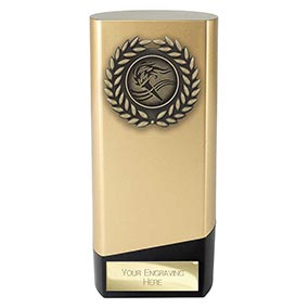 Gold Prime Multisport Trophy 160mm