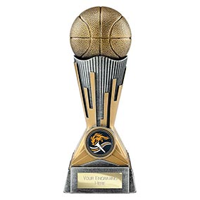 Digital Basketball Trophy 175mm
