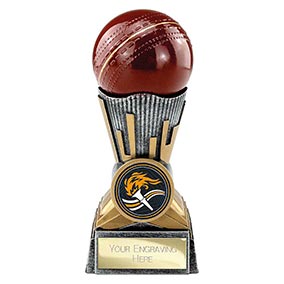 Digital Cricket Ball Trophy 125mm