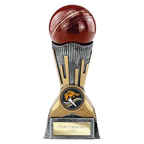 Digital Cricket Ball Trophy 150mm