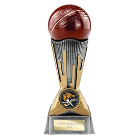 Digital Cricket Ball Trophy 175mm