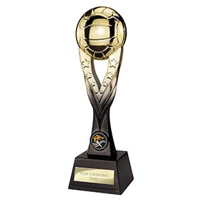 260mm Extreme Netball Trophy