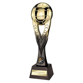 290mm Extreme Netball Trophy