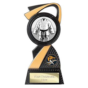 155mm Mania Martial Arts Trophy
