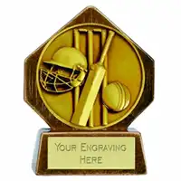 Peak Cricket Wicket Award 8cm