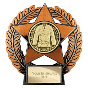 Emperor Star Bronze Martial Arts Plaque