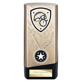 Gold Prime Swimming Trophy 160mm