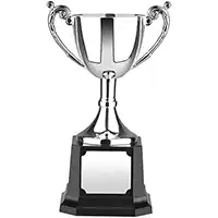 8.5in Worldwide Cup Award
