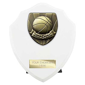 Cobra Basketball Shield 150mm