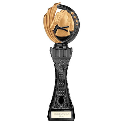 310mm Renegade II Tower Martial Arts Award