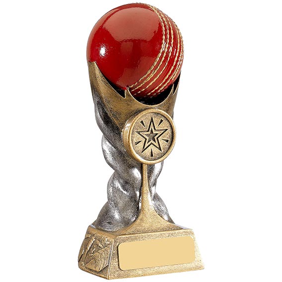 16cm Eclipse Cricket Award