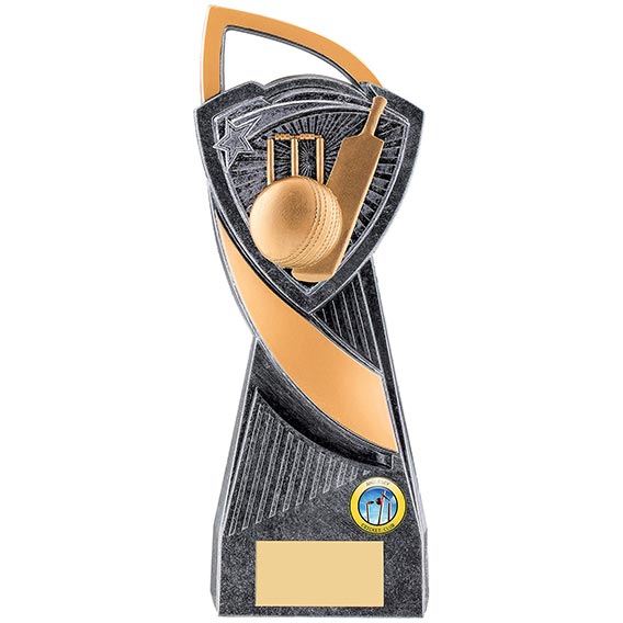 24cm Utopia Silver Cricket Award