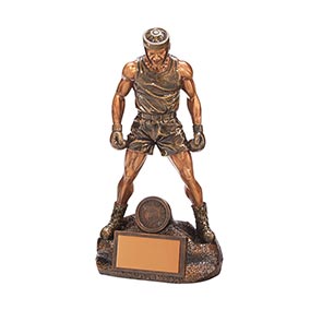 Ultimate Boxing Award 225mm