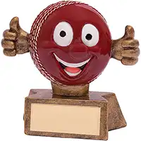 Smiler Cricket Award