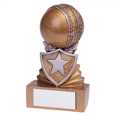 Shield Mini Cricket Award