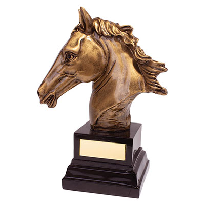 Belmont Deluxe Equestrian Award