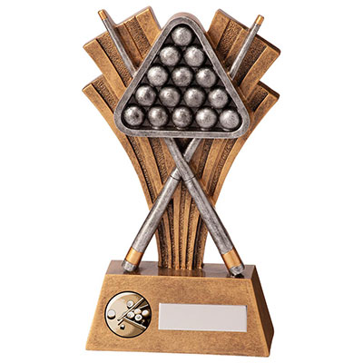 180mm Xplode Pool Snooker Award