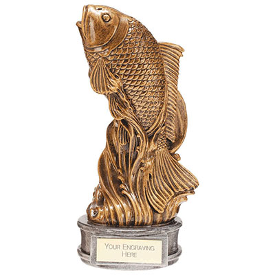 180mm Pinnacle Angling Award