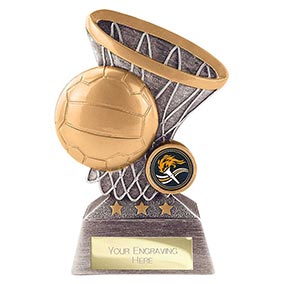 Smash Netball Trophy 160mm