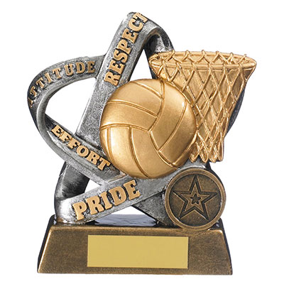 12.5cm Infinity Netball Award