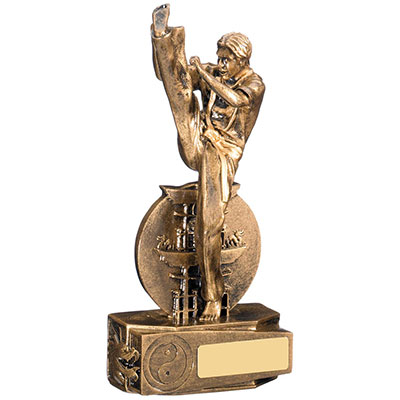 195mm Karate & Taekwondo Award