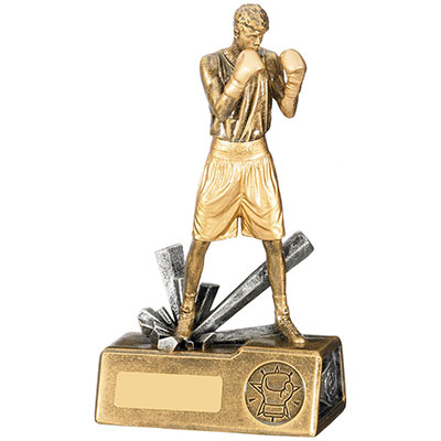 Male Boxer Award 185mm