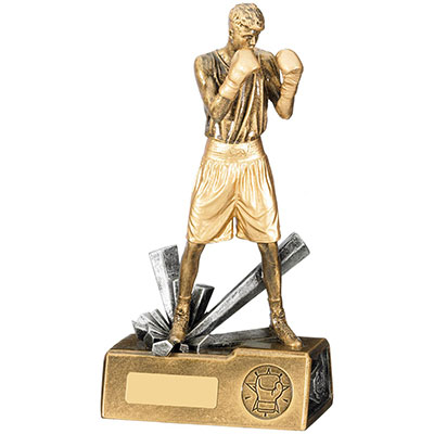 Male Boxer Award 215mm