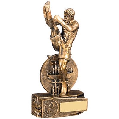 195mm Male Kickboxing Award